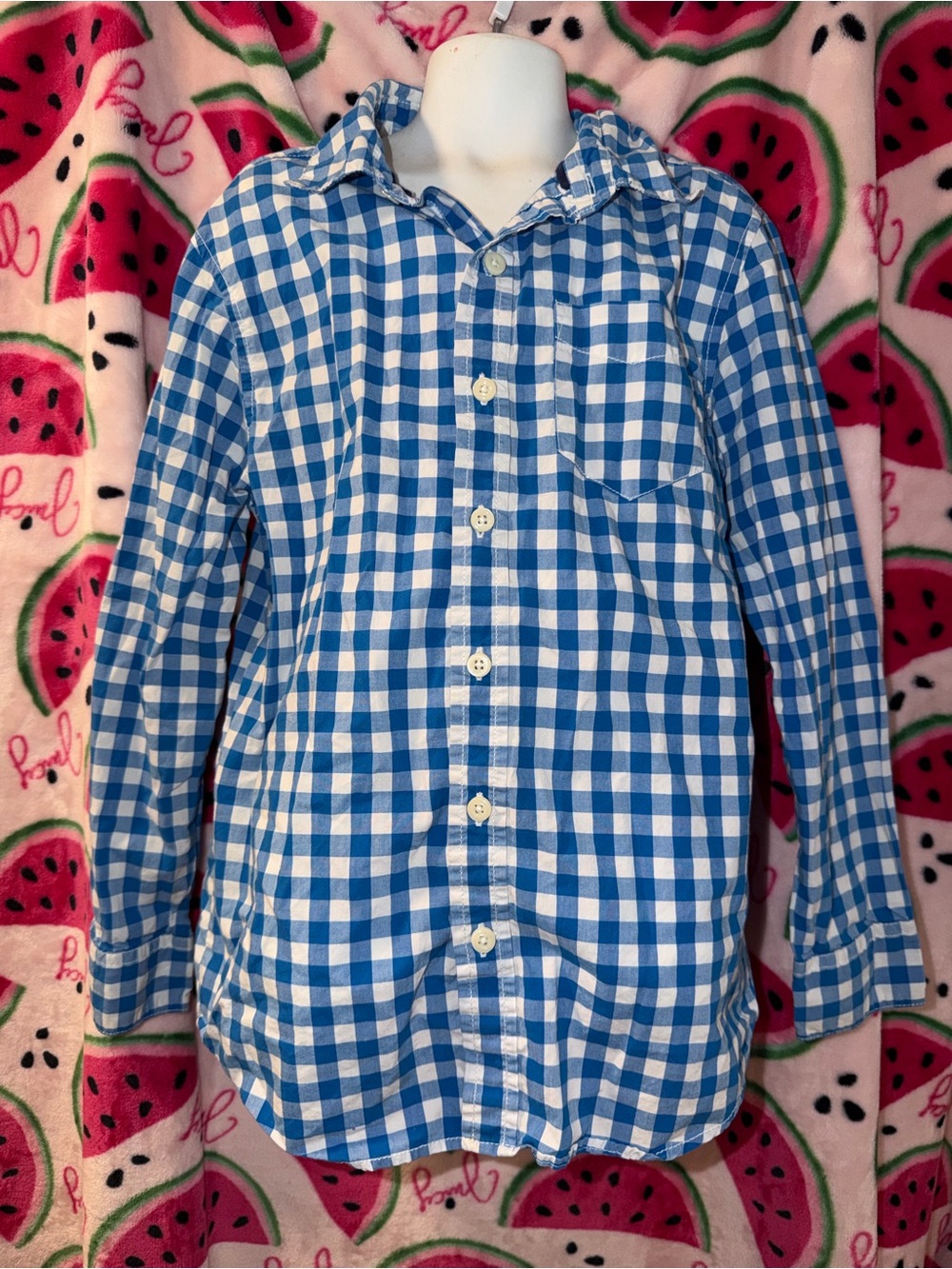 Crazy 8 Gingham Button-Down Shirt